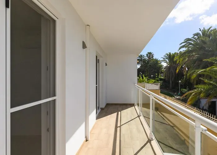 Sol Y * San Agustín