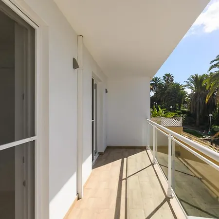 Sol Y * San Agustín